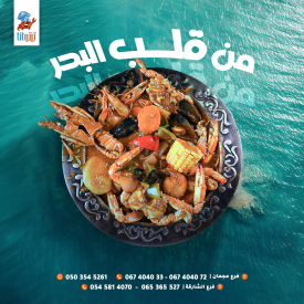 D8A7D983D984 D8A8D8ADD8B1D98A Rdas732vor0mj6vumvzsanol91td4dxwtrbldvaa9q